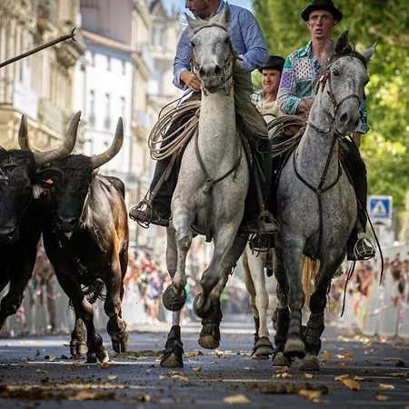 Apartamento Le Gambetta - Moderne Centre