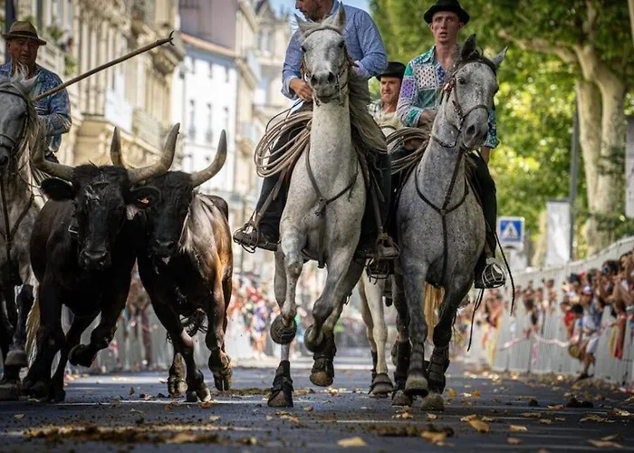 شقة Le Gambetta - Moderne Centre
